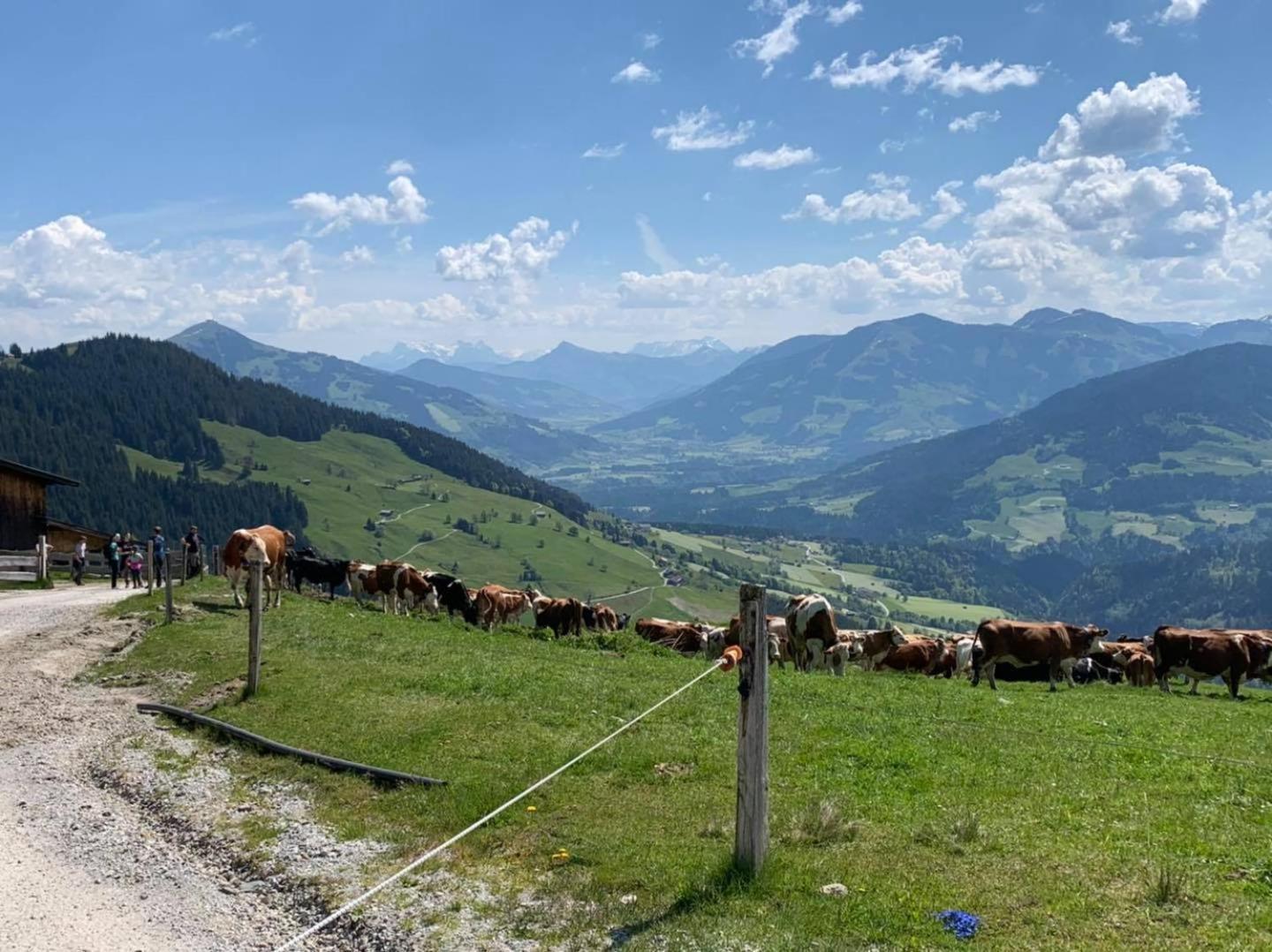 Appartement Alpenhof Wildschoenau Niederau Exterior foto